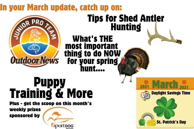 The March 2021 JPT update brought to you by #sportdog includes Tips for Shed Antler Hunting, a super important tip for spring turkey hunters to pay attention to, puppy training tips and more.