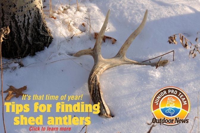 Tips for Junior Pro Team members for shed hunting